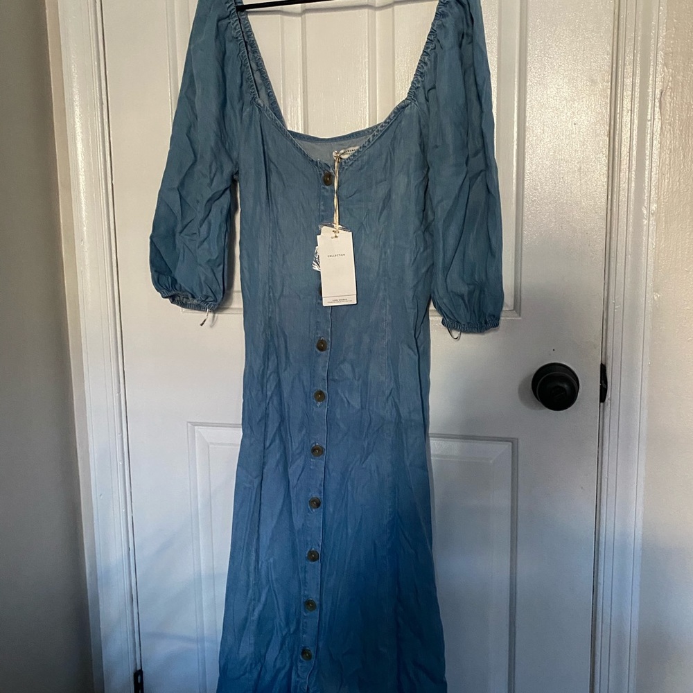 Zara Button up denim dresss